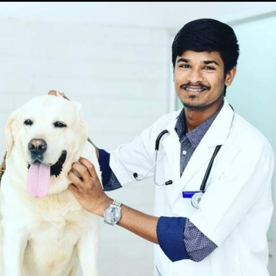 Veterinary doctor best sale