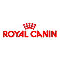 Royal Canin Kitten Persian Dry Food 4 kg