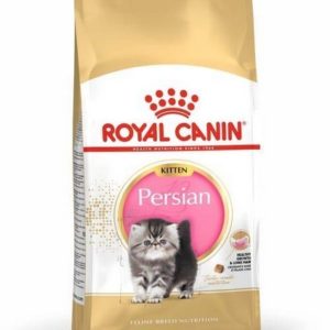 Royal Canin Kitten Persian Dry Food 400gm