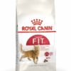 Royal Canin Regular Fit 32 Dry Cat Food, 400G