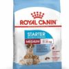 Royal Canin Starter Mother and Baby for Medium Dry Dog Food 1kg