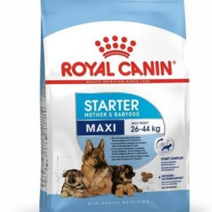 Royal Canin Maxi Starter Mother and Baby Dry Dog Food, 1 kg