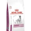 Royal Canin Cardiac Veterinary Dry Dog Food, 2 Kg