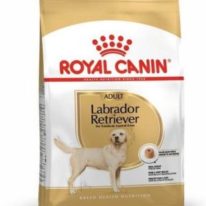 Royal Canin Labrador Retriever Adult Dry Dog Food, 12Kg