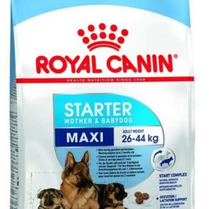Royal Canin Maxi Starter Mother and Baby Dry Dog Food, 4kg