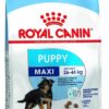 Royal Canin Maxi Puppy Dry Dog Food, 1 kg