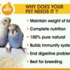 Boltz Bird Food for Budgies- Mix Seeds 1200 Gm