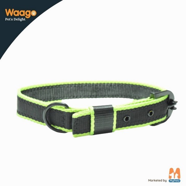 Waago Polyster Leash and Collar Set For Medium and Large Dog Green (137 x 64cm)