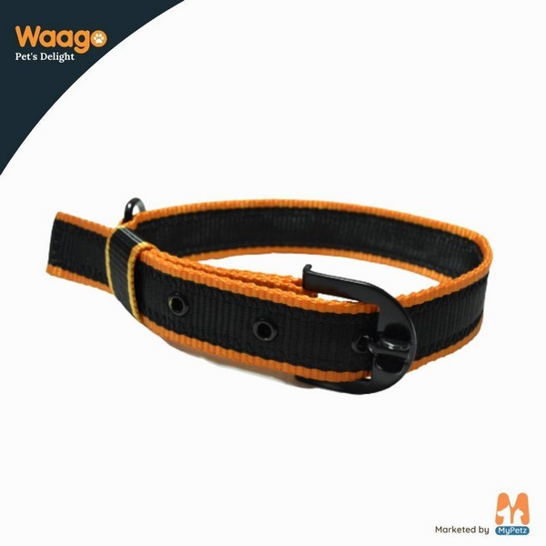Waago Polyster Leash and Collar Set For Medium and Large Dog Orange (137 x 64cm)
