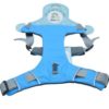 Chest Support Harness – L Blue