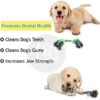 Dog Company, Cotton Rope Toy for Chewing and Teething Puppies