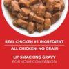 Drools Adult Wet Dog Food, Real Chicken And Chicken Liver Chunks In Gravy,150Gm
