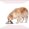 Drools Dog Feeding Bowl Small 225 Ml