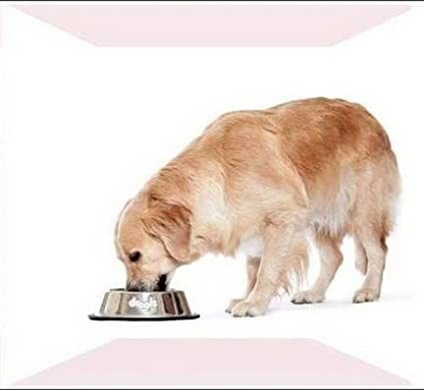Drools Dog Feeding Bowl Medium 700 Ml