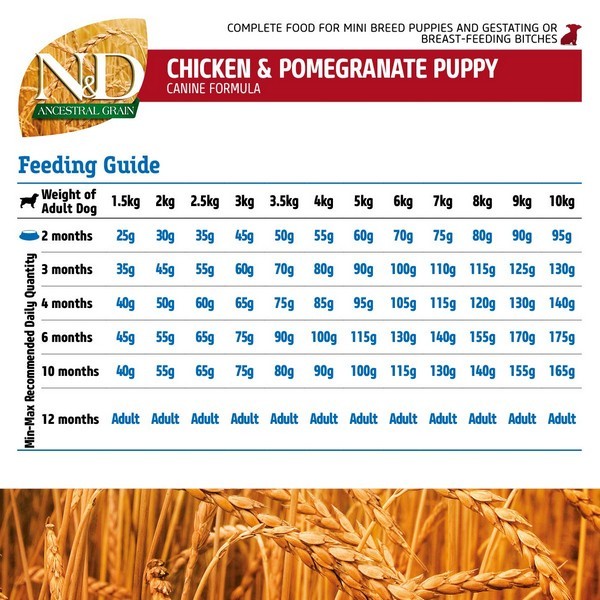 Farmina N&D AG Mini Breed Dry Puppy Food Chicken & Pomegranate 800 gm