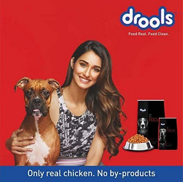 Drools Focus Starter Super Premium Dog Dry Food , 1.2Kg