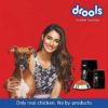 Drools Focus Adult Super Premium Dog Food, 1.2Kg