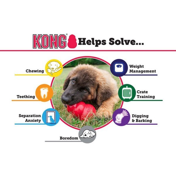 Kong Classic Rubber Chew Toy for Large Dog (13-30 kg)