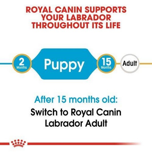Royal Canin Labrador Retriever Puppy Dog Dry Food, 3 kg