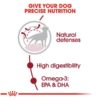 Royal Canin Medium Adult Dry Dog Food, 1 kg