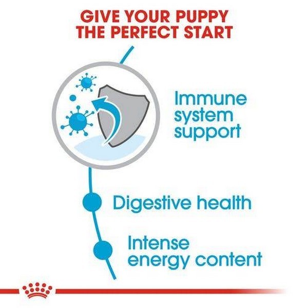 Royal Canin Mini Puppy Dry Dog Food, 800gm