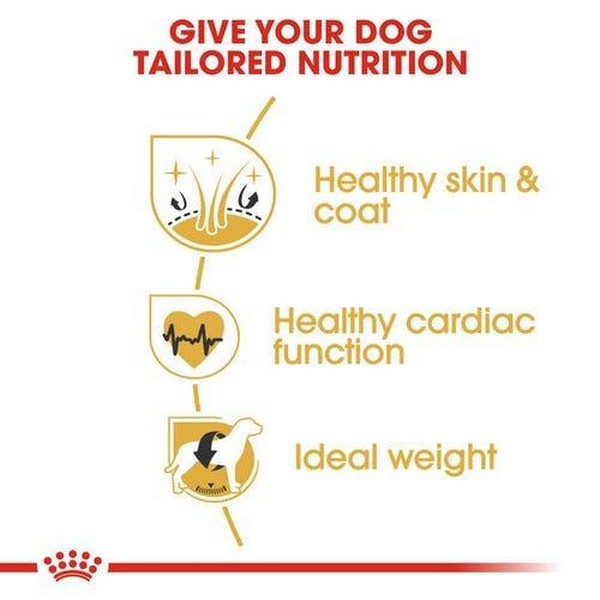 Royal Canin Golden Retriever Adult Dog Dry Food, 3 kg