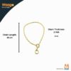Waago Capsule Choke Golden Chain for Small and Medium Dog (3mmx48cm)