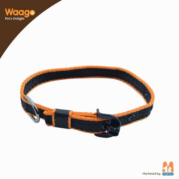 Waago Polyster Leash and Collar Set For Small & Medium Dog (117cm x 46cm)