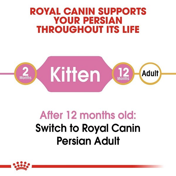 Royal Canin Kitten Persian Dry Food 4 kg