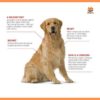 Royal Canin Golden Retriever Adult Dog Food, 12Kg