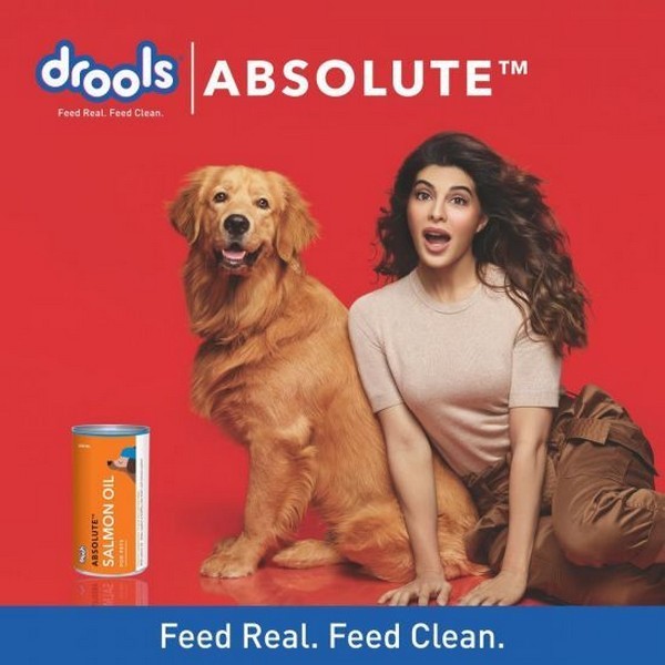 Drools Absolute Salmon Oil Syrup Dog Supplement 150 Ml