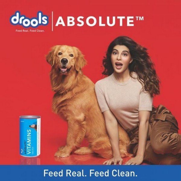 Drools Absolute Vitamin Syrup Dog Supplement 300Ml