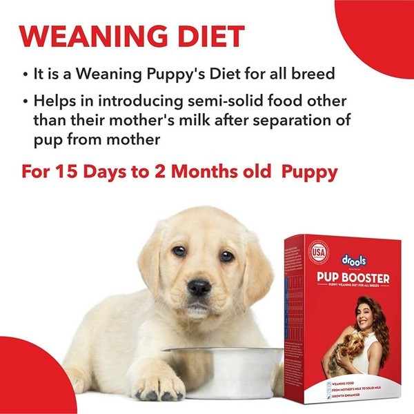Drools Pup Booster Puppy Weaning Diet For All Breeds, 300Gm