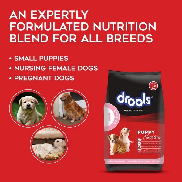 Drools Puppy Starter Puppy Weaning Dry Dog Food, 1.2Kg