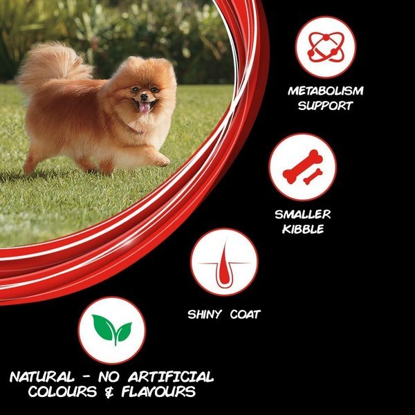 Purina Supercoat Small Breed Adult (1+ Years) Dry Dog Food,Chicken Flavour,400gm