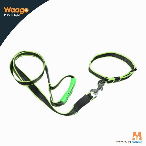 Waago Polyster Leash and Collar Set For Medium and Large Dog Green (137 x 64cm)