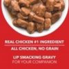 Drools Real Chicken And Liver Chunks In Gravy For Puppy Dog, 150Gm