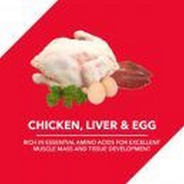 Drools Chicken And Egg Puppy Dog Food, 20 Kg (+2 Kg Free Inside)