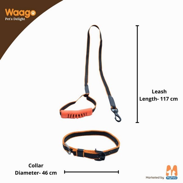 Waago Polyster Leash and Collar Set For Small & Medium Dog (117cm x 46cm)