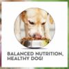Drools Vet Pro Gastrointestinal Dry Dog Food Prescribed Diet 3 Kg