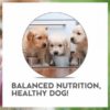 Drools Vet Pro Puppy Dry Dog Food Prescribed Diet 3 Kg