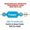 Royal Canin Shih Tzu Puppy Dry Food 1.5kg