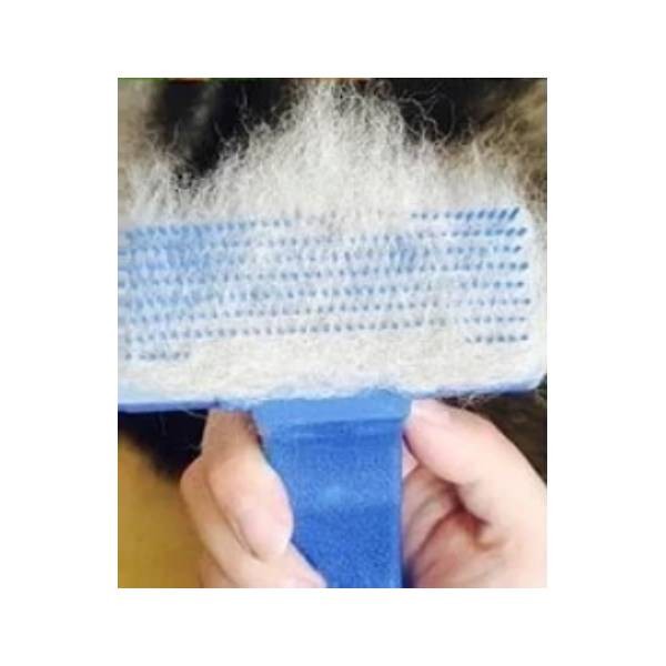 Waago Slicker Shedding Brush for Puppy and Small Dogs and Cats, Blue