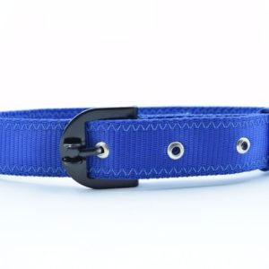 Waago Polyester Double Layer Dog Collar (1.25inch X 64 cm), Blue