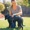 PSK PET MART Pet Shampoo Brush Comb for Dogs & Cats Washing