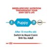 Royal Canin Breed Health Nutrition Shih Tzu Puppy Dry Dog Food, 2.5 lbs