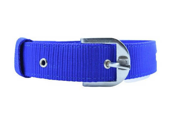 Waago Nylon Collar for Dog (1.25 inch X 64cm) Blue