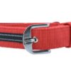 Waago Nylon Collar for Dog (1.5 inch X 66cm) Red