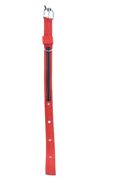 Waago Nylon Collar for Dog (1.5 inch X 66cm) Red