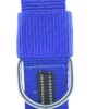Waago Nylon Collar (1.5 inch X 69 cm) Blue
